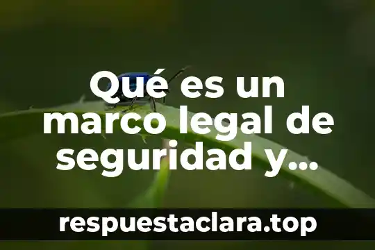 Qué es un marco legal de seguridad y transporte