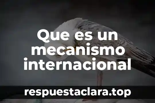 Que es un mecanismo internacional