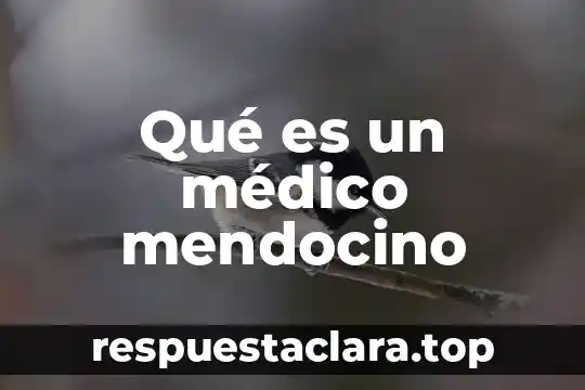 Qué es un médico mendocino