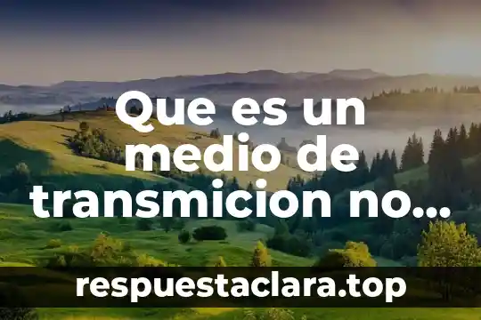 Que es un medio de transmicion no guiado