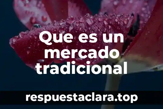 Que es un mercado tradicional