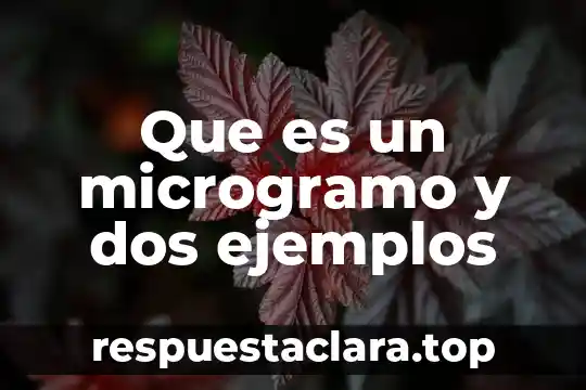 Que es un microgramo y dos ejemplos