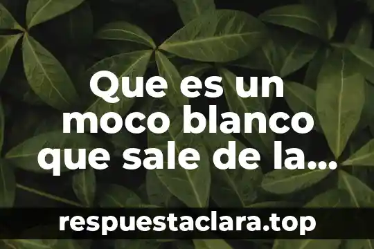 Que es la señal que sale en fortnite 8 Que es un moco blanco que sale de la vajina