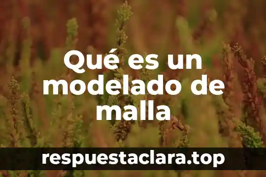 Qué es un modelado de malla