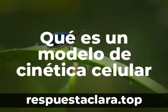 Qué es un modelo de cinética celular