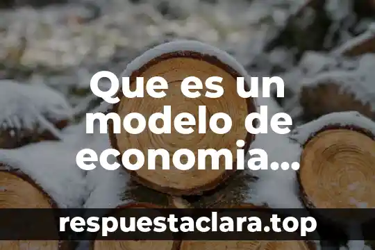 Que es un modelo de economia abierta