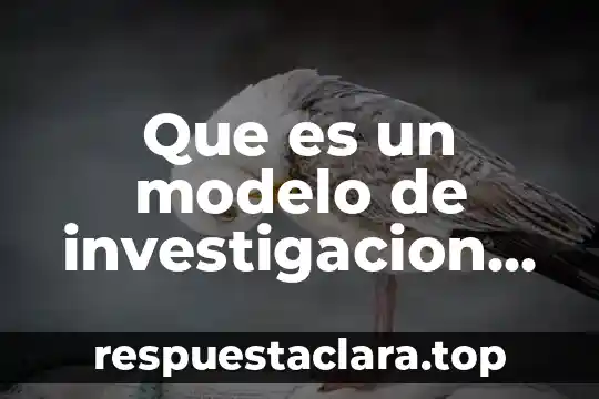 Que es un modelo de investigacion definicion