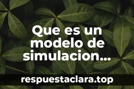 Qué es una simulación electrónica 5 Que es un modelo de simulacion logistica