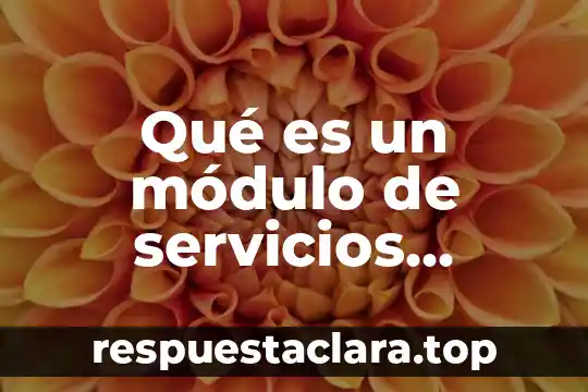 Qué es un módulo de servicios tributario