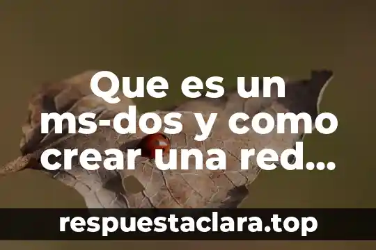 Que es un ms-dos y como crear una red as-hoc
