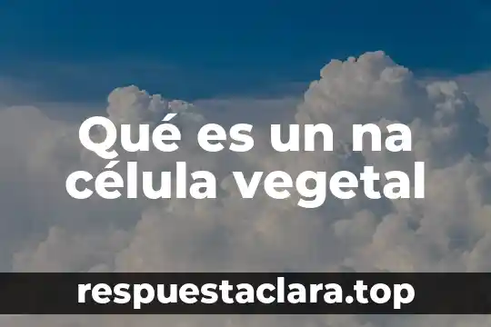 Que es la celula animal vegetal 3 Qué es un na célula vegetal