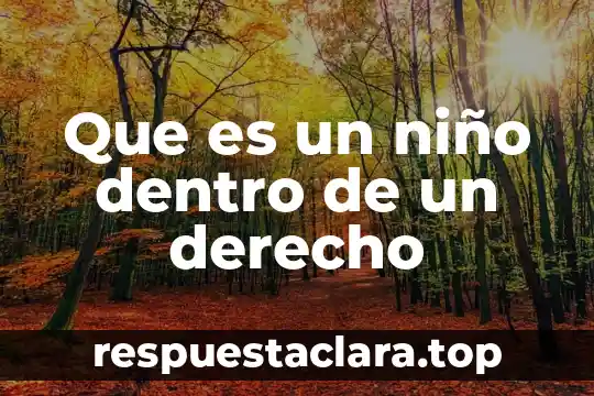 Que es un niño dentro de un derecho