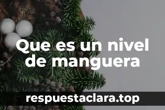 Que es un nivel de manguera