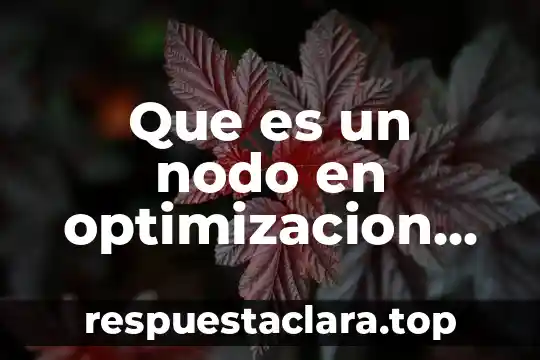 Que es cooperación latino americana de redes avanzadas 3 Que es un nodo en optimizacion de redes