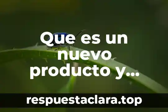 Que es un nuevo producto y servicio