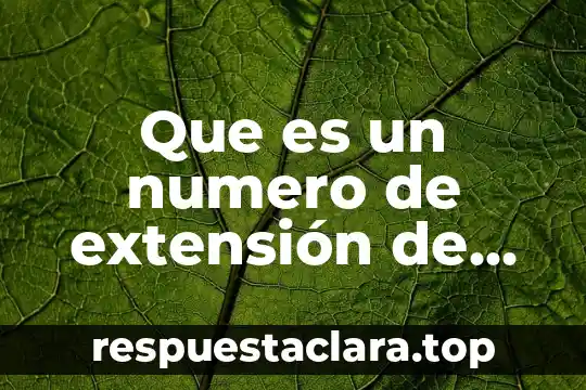 Información que es guardada con un nombre y extensión 6 Que es un numero de extensión de mexico