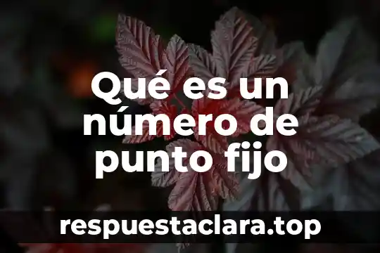 Qué es un número de punto fijo