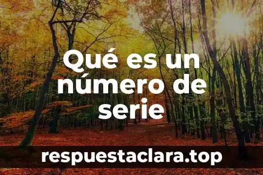Número de chasis que es 8 Qué es un número de serie