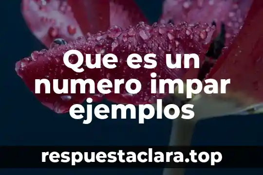 Número de dependientes que es 8 Que es un numero impar ejemplos