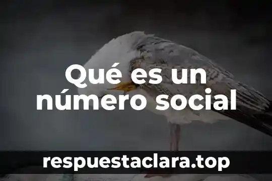 Qué es un número social