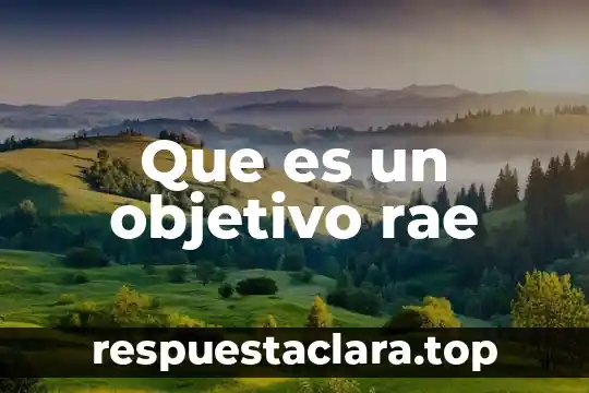 Que es un objetivo rae