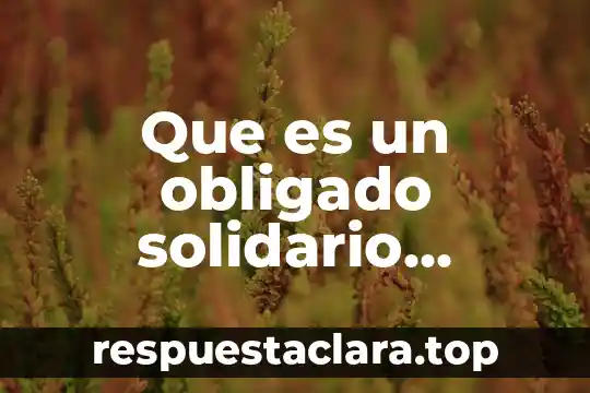 Que es un obligado solidario sociedad conyugal