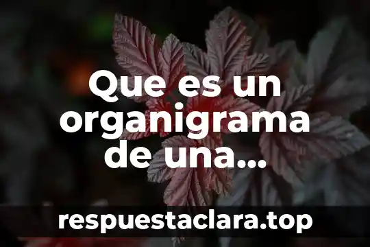 Que es nombre fiscal de la empresa 3 Que es un organigrama de una empresa industrial