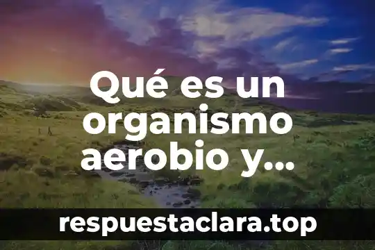 Qué es un organismo aerobio y anaerobio