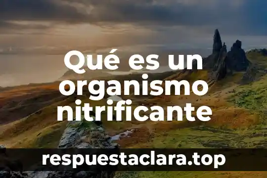 Qué es un organismo nitrificante