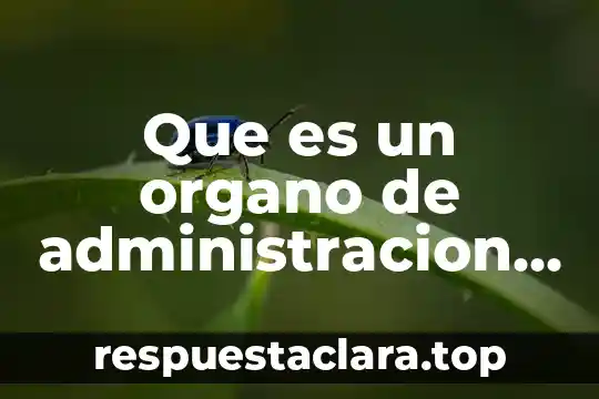 Que es un organo de administracion de una sociedad cooperativa
