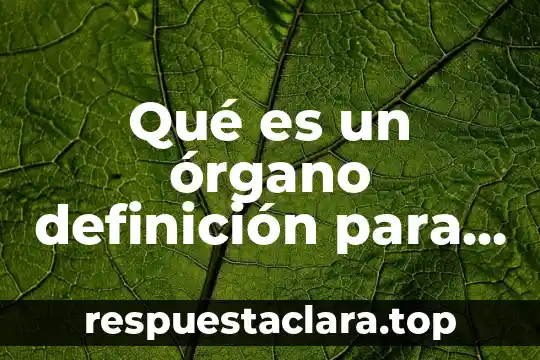 Qué es un órgano definición para niños