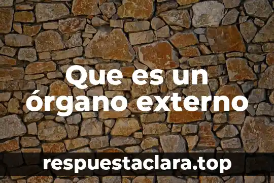 Que es un órgano externo