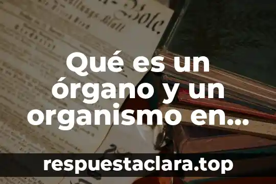 Qué es un órgano y un organismo en derecho