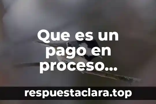 Que es el pago de indebido 4 Que es un pago en proceso debitado