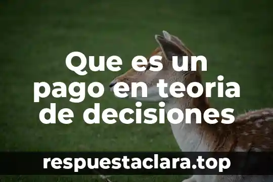 Que es el usuario general de la contabilidad 5 Que es un pago en teoria de decisiones