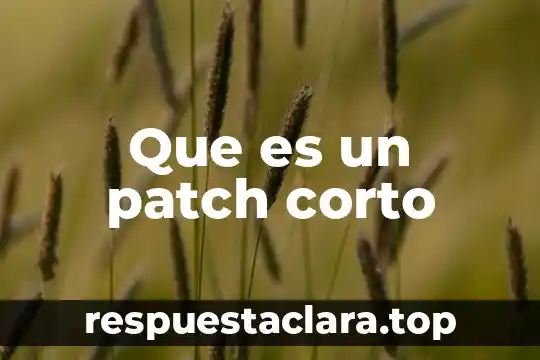 Que es un patch corto