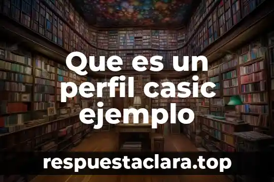 Que es un perfil casic ejemplo