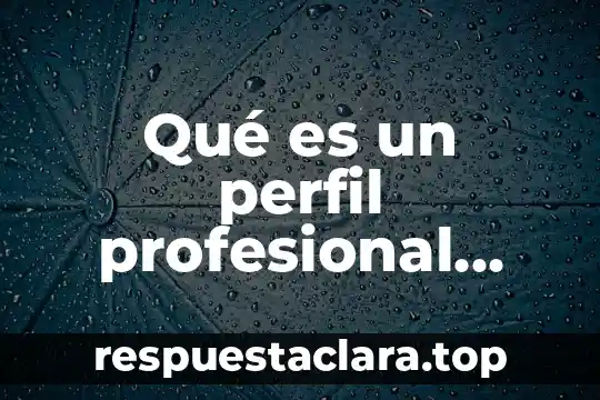 Qué es un perfil profesional definición