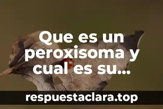 Que es un peroxisoma y cual es su funcion