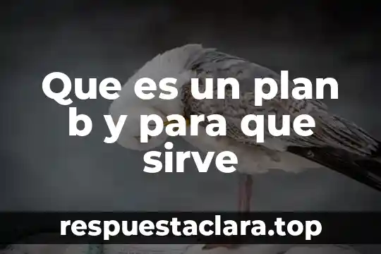 Que es un plan b y para que sirve