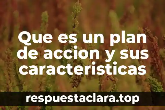 Que es el plan de dios para mi vida 6 Que es un plan de accion y sus caracteristicas