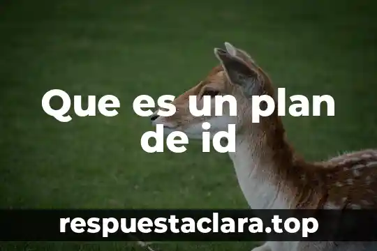 Que es un plan de id
