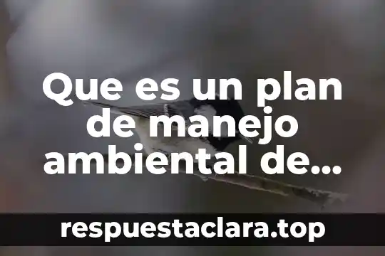 Qué es el contrato de recolección de residuos peligrosos 8 Que es un plan de manejo ambiental de residuos solidos