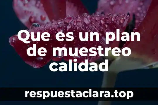 Lo que es en realidad la calidad de vida 5 Que es un plan de muestreo calidad