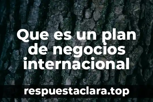 Organismo internacional que es 3 Que es un plan de negocios internacional