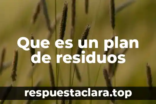 Qué es el contrato de recolección de residuos peligrosos 6 Que es un plan de residuos