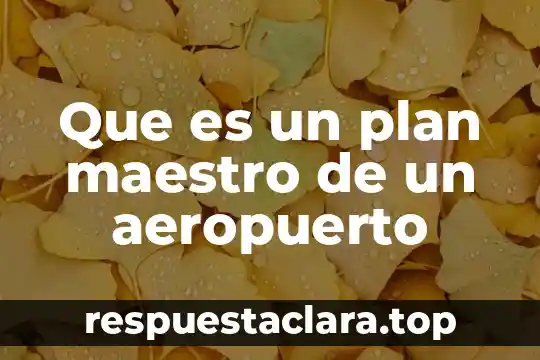 Que es el plan de dios para mi vida 7 Que es un plan maestro de un aeropuerto