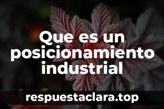 Que es un posicionamiento industrial