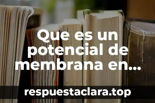 Que es un potencial de membrana en accion