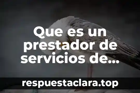 Que es nombre del prestador de servicio 5 Que es un prestador de servicios de certificación